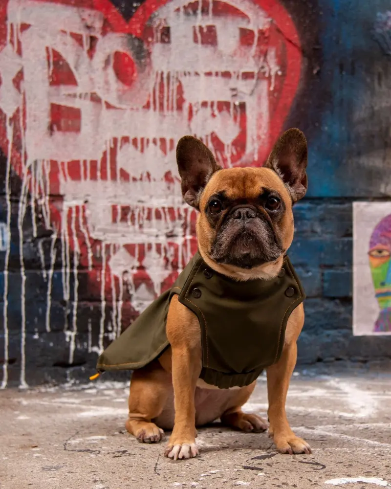Brownie Waterproof Raincoat In Olive 1