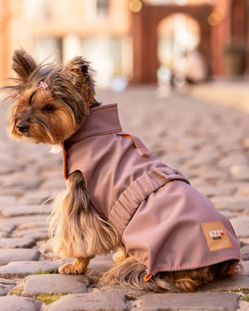 Brownie Waterproof Raincoat In Fig (Final Sale) 1