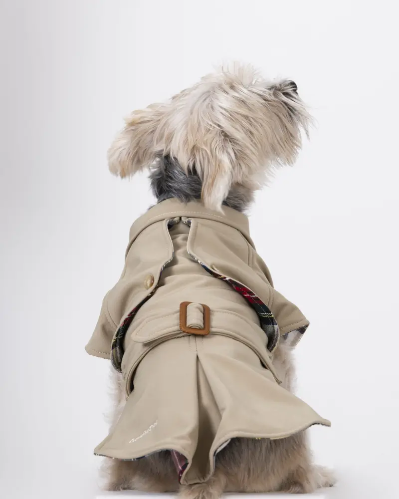 Frankie Dog Trench Coat (Made In Spain) (Final Sale) 3