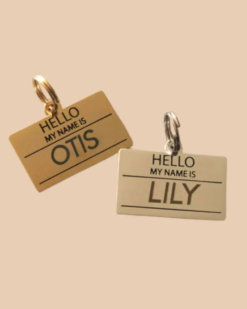 Hello, My Name Is Id Tag (Custom/Drop-Ship) 1