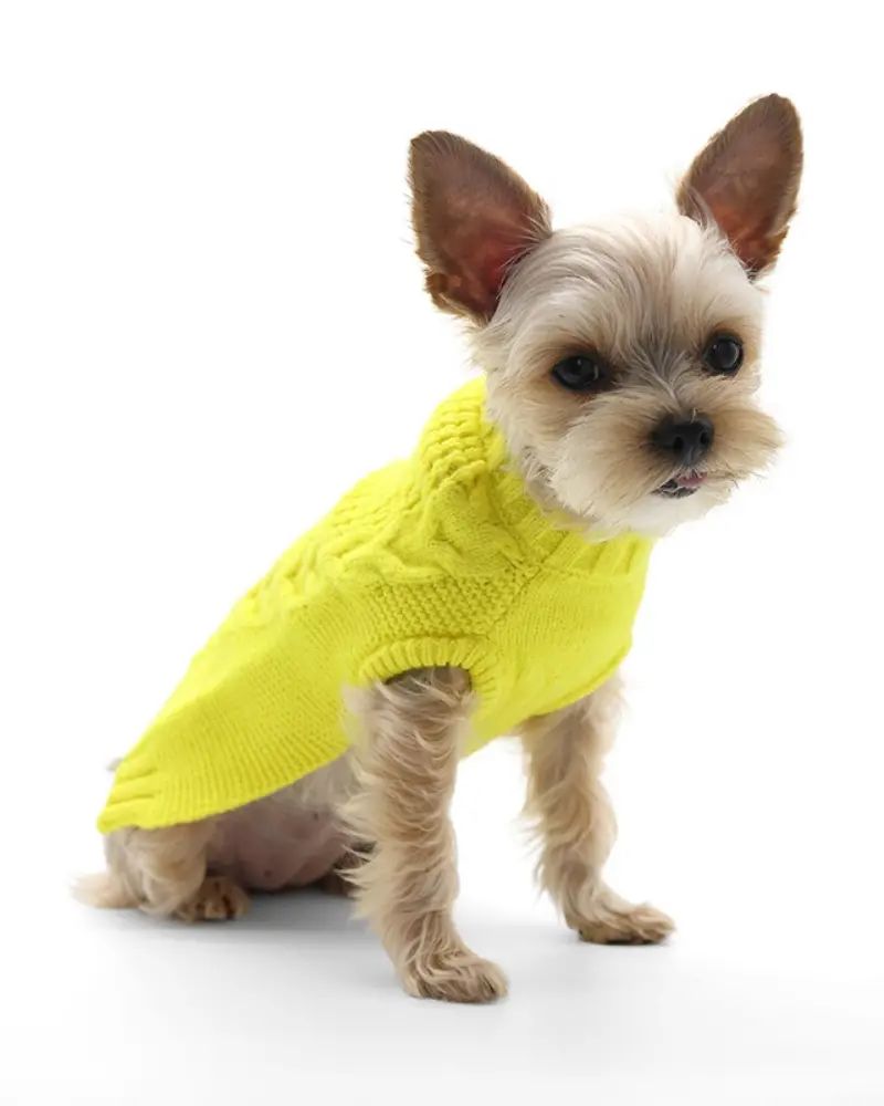 Mix Knit Dog Sweater In Sunshine Yellow<Br>(Final Sale) 1