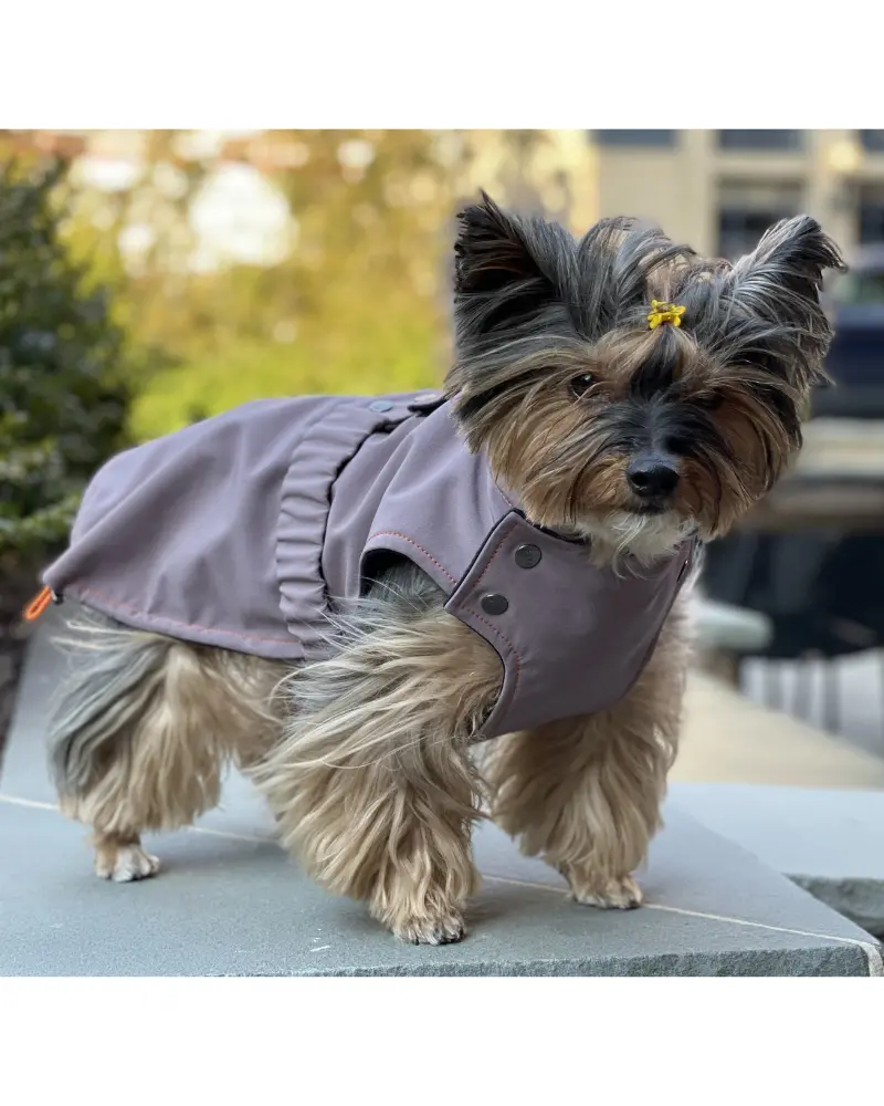 Brownie Waterproof Raincoat In Fig (Final Sale) 4