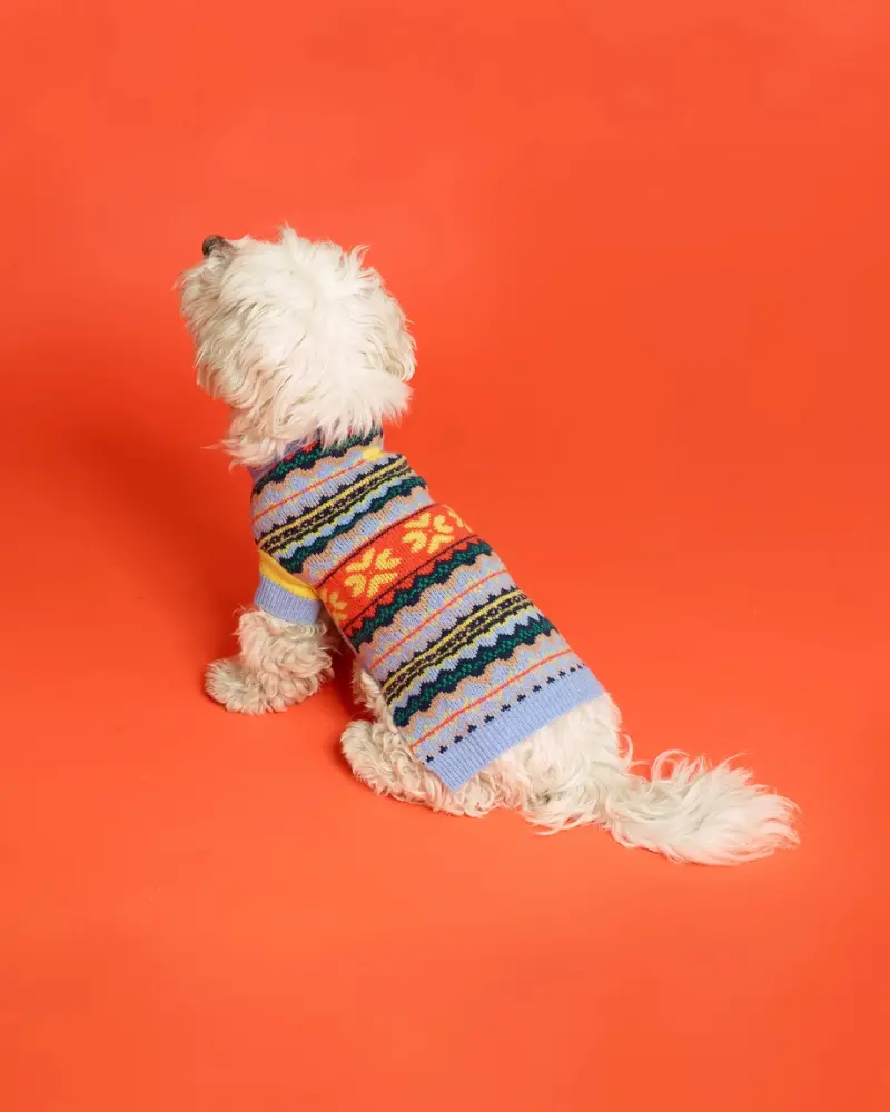 Merino Wool Fairisle Floral Dog Sweater In Blue (Final Sale) 1