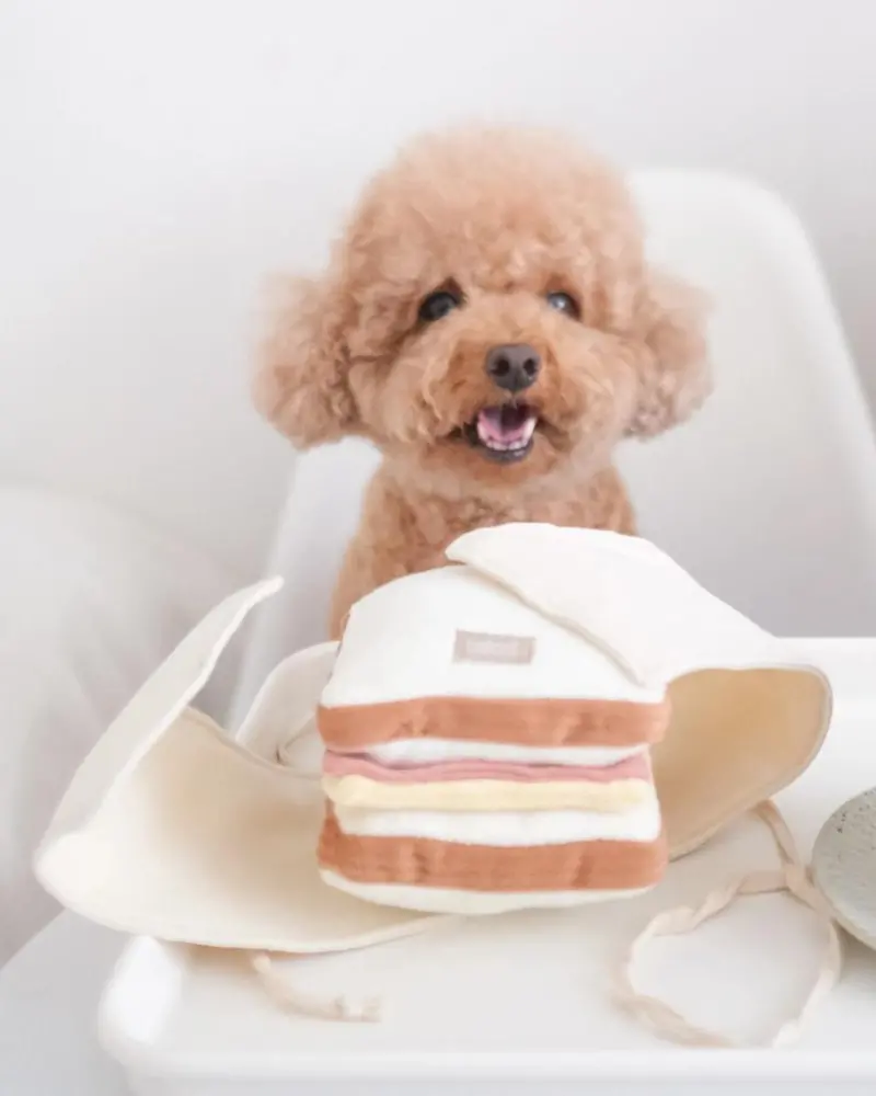 Ham & Cheese Sandwich Enrichment Snuffle Dog Toy 1