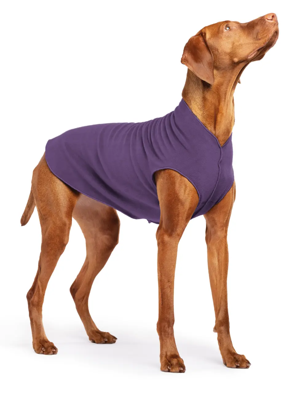 Stretch Fleece Dog Pullover In Huckleberry 1