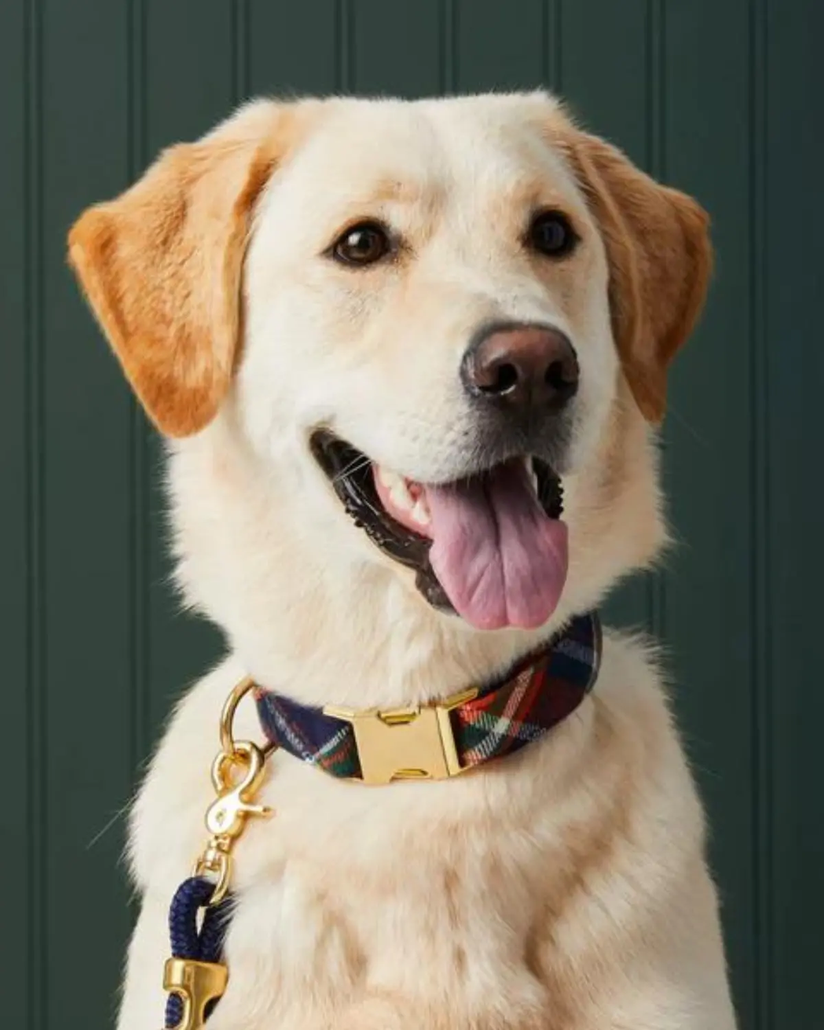 Dakota Plaid Flannel Dog Collar (Made In The Usa) 1