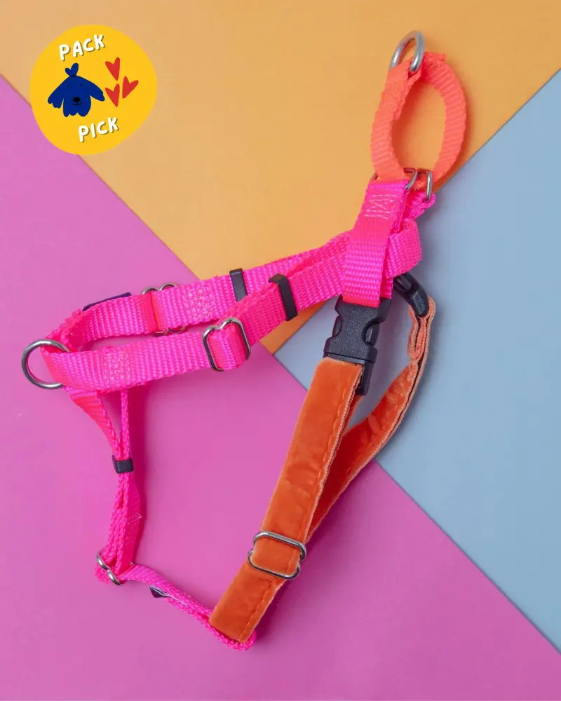Freedom No-Pull Harness In Neon Pink & Orange (Made In The Usa) 1