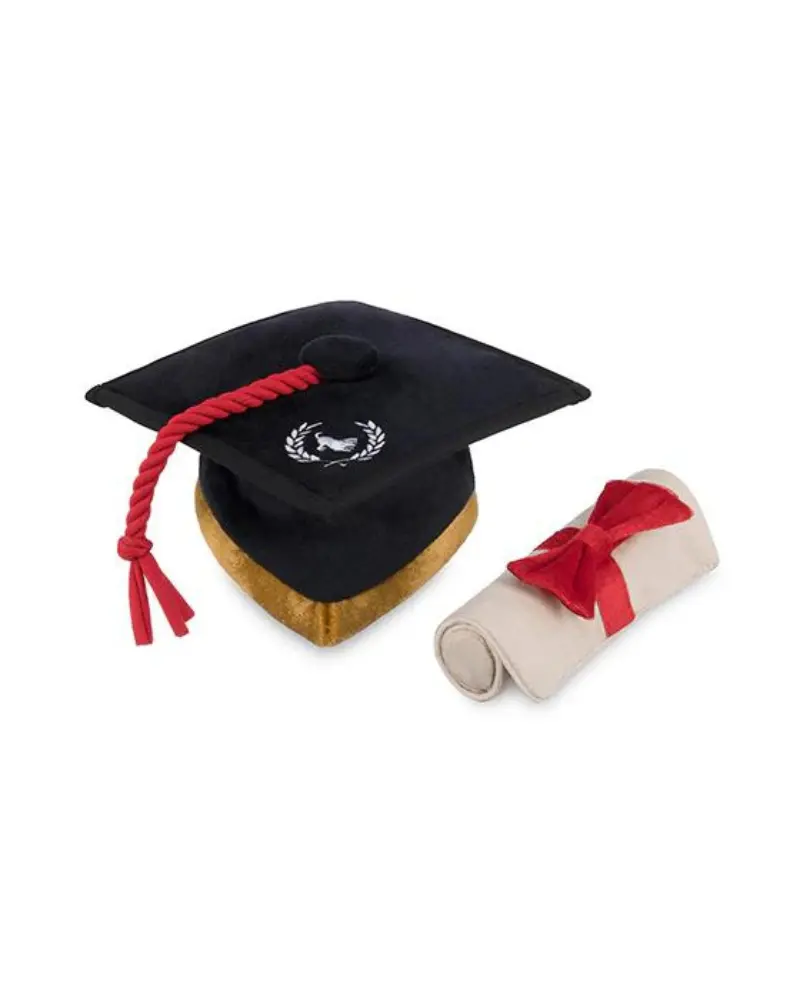 K9 Scholar Cap & Diploma Plush Dog Toy Set (Final Sale) 1