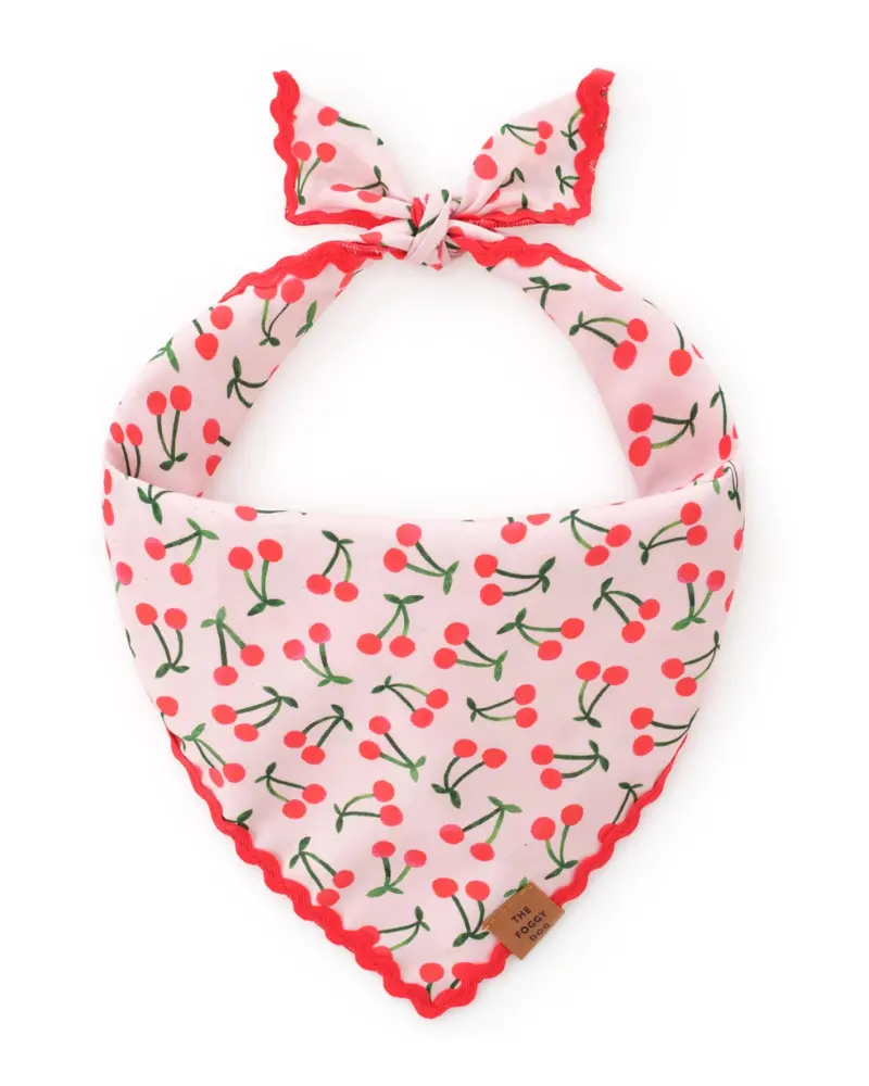 Cherry Jubilee Cotton Dog Bandana (Final Sale) 1