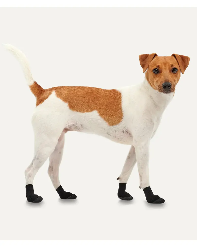 Lites All Season Dog Booties (In Black Or Khaki) 1