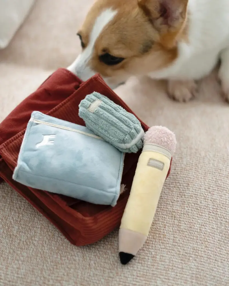 Back To School Backpack Snuffle Plush Dog Toy (Final Sale) 1