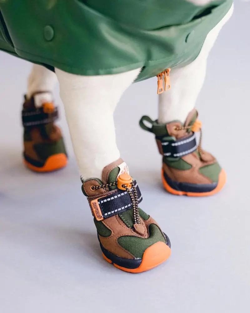 Apollo 1 - Waterproof Dog Boots In Beef & Broccoli (Final Sale) 1