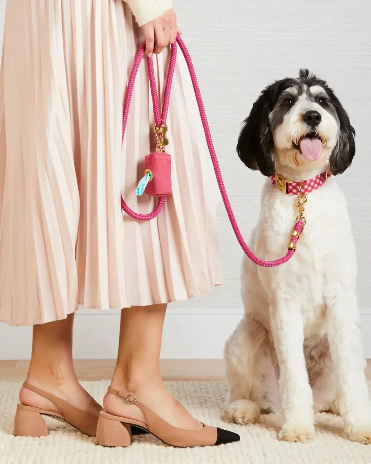 Raspberry Gingham Spring Dog Collar (Made In The Usa) 1