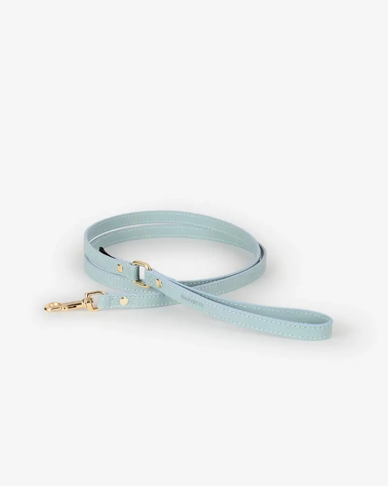 Sky Blue Nara Leather Dog Leash With Brass Hardware (Made In Italy) 1