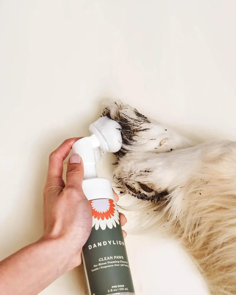 Clean Paws No-Rinse Foaming Cleanser For Dogs (Vegan & Cruelty Free) 2