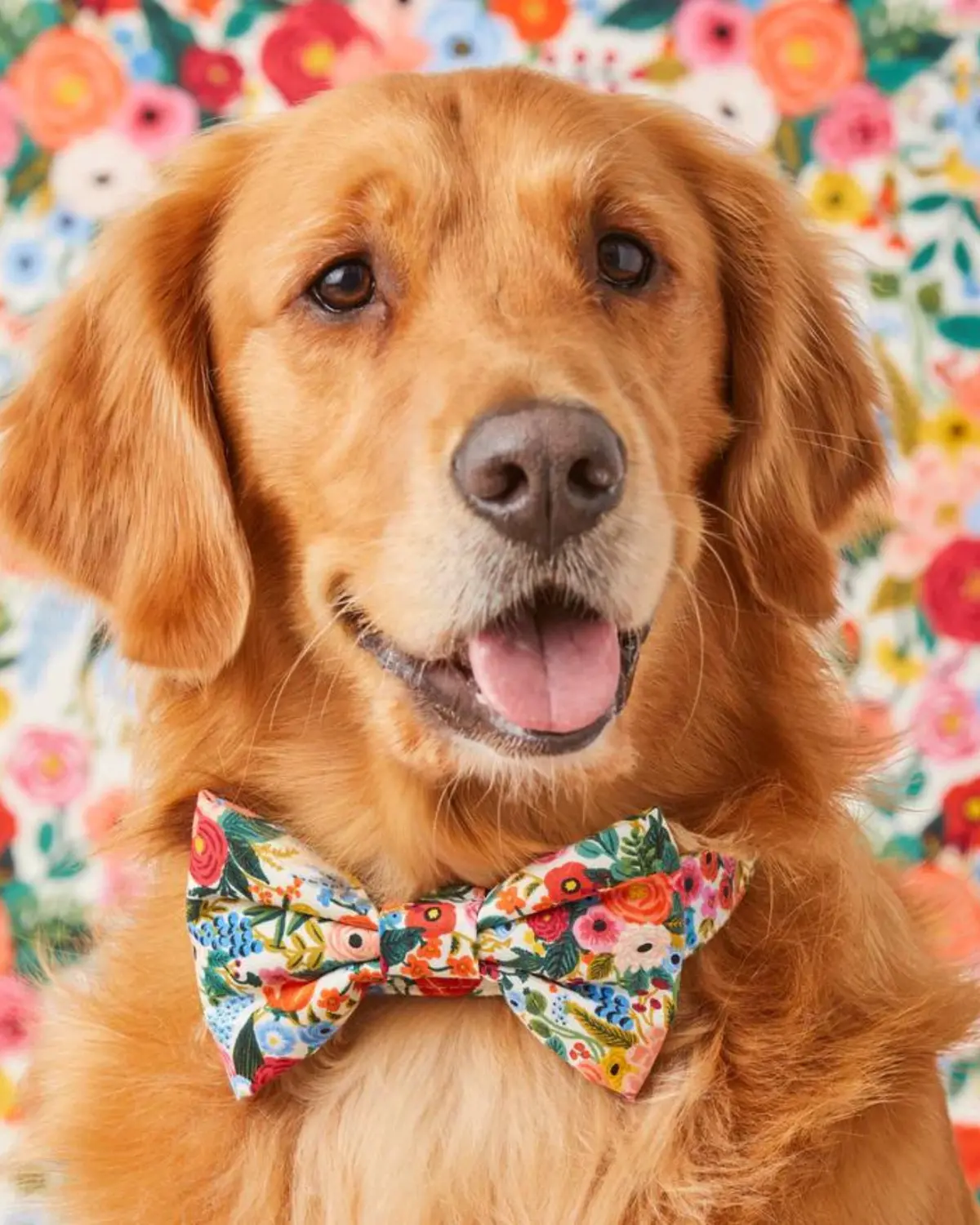 Rifle Paper Co. X Tfd Garden Party Dog Bow Tie (Made In The Usa) (Final Sale) 1