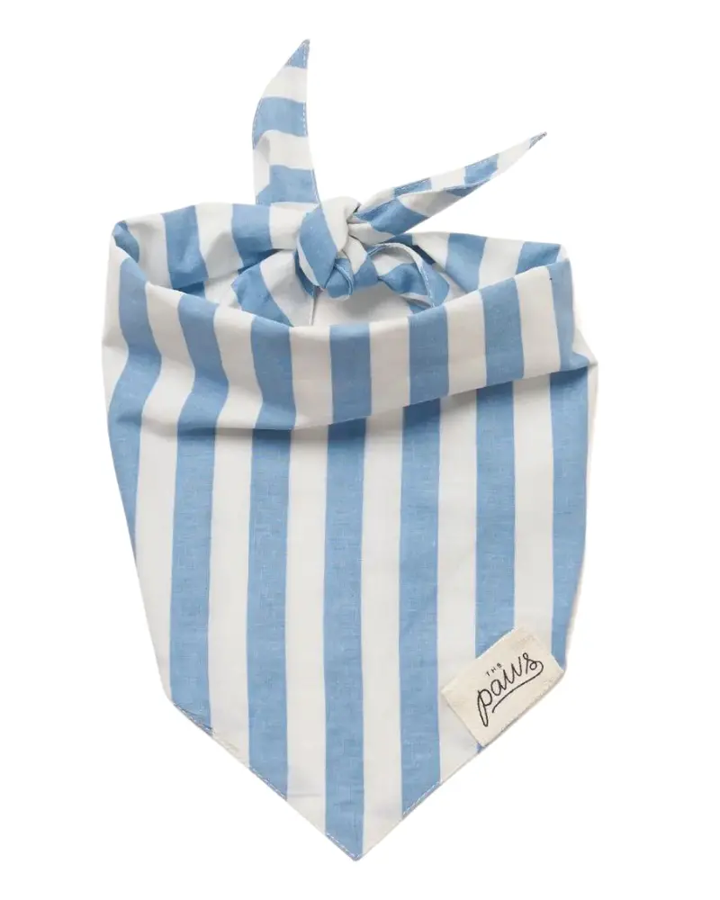 Cabana Blue Stripe Dog Bandana (Clearance) 1