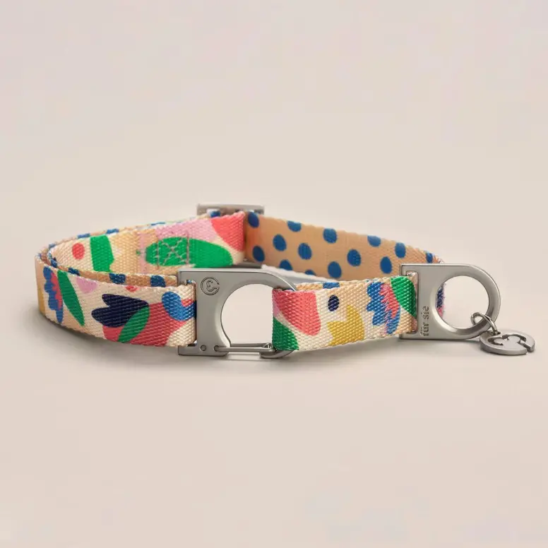Gaston Vegan Dog Collar (Final Sale) 1
