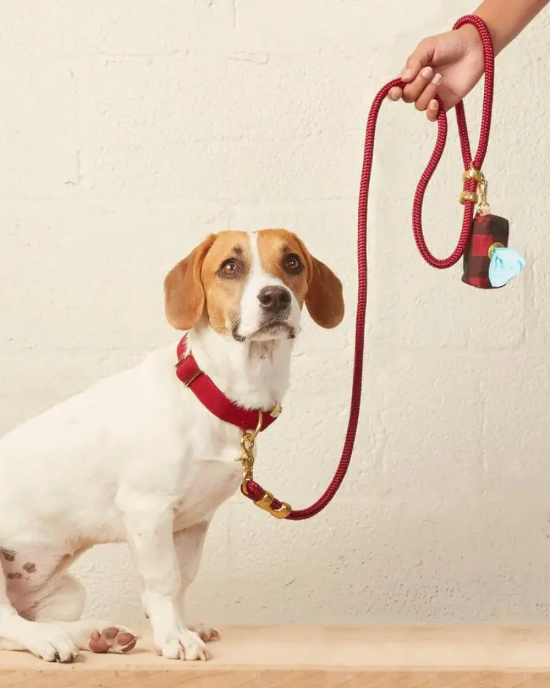 Wine Marine Rope Dog Leash<Br> (Made In The Usa) (Final Sale) 1