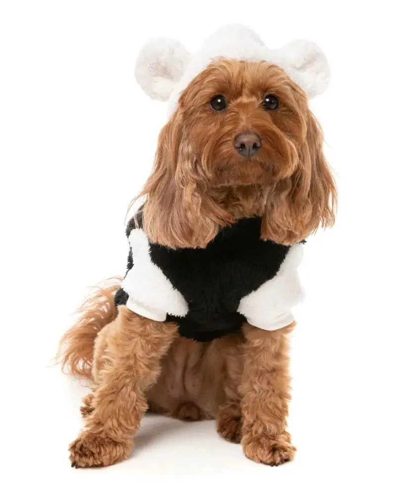 Winnie Dog Hoodie In Panda (Final Sale) 1