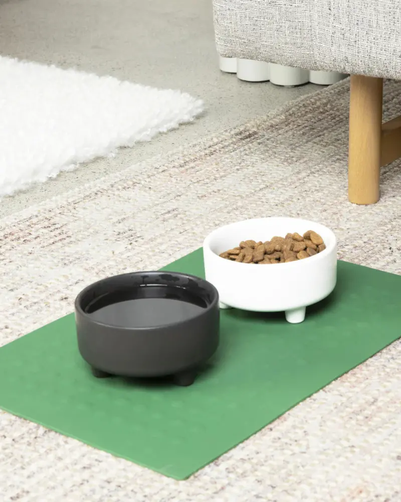 Bubbles Dog Placemat In Forest Green 1