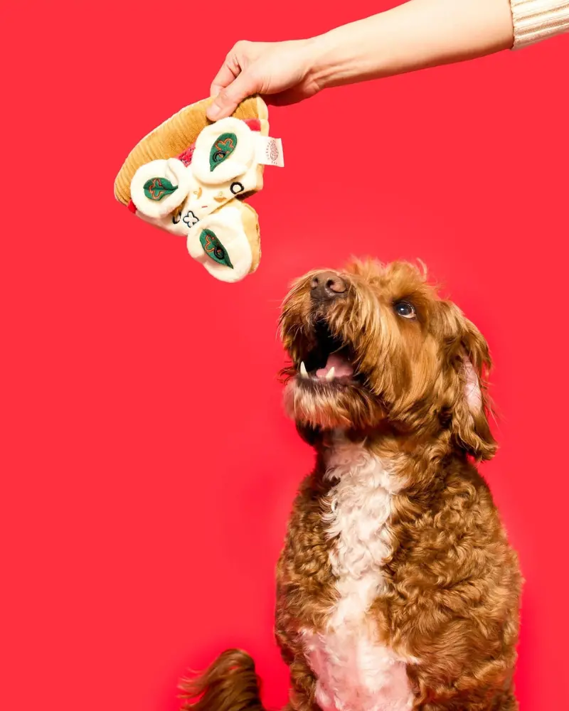 Pizza Nosework Toy For Dogs 1
