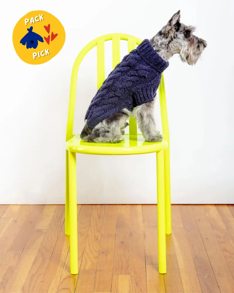 Downtown Roll Neck Dog Sweater In Navy Final Sale 1