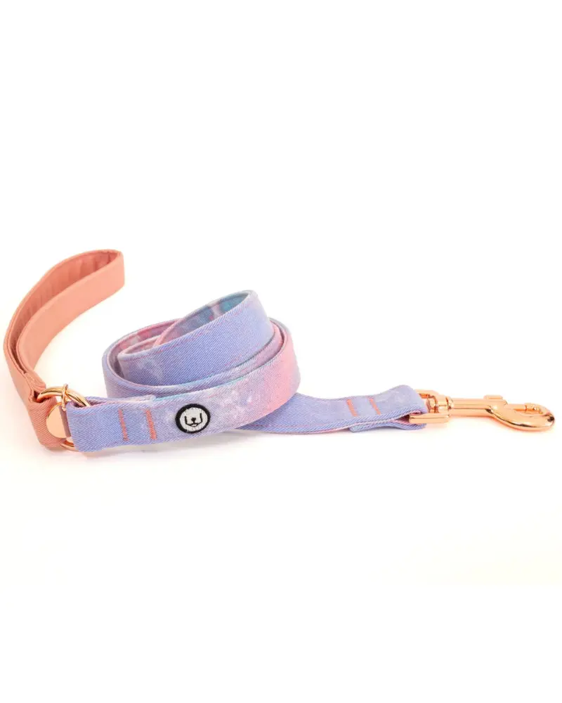 Standard Dog Leash In Cotton Candy 1