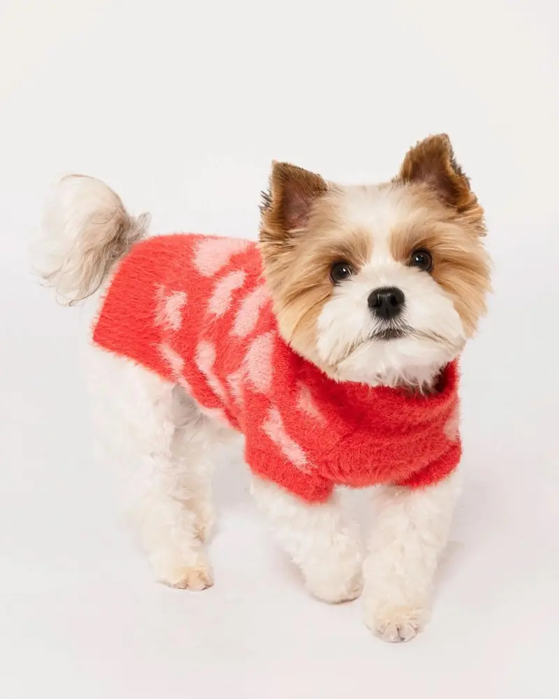 Hug Me Heart Dog Sweater (Final Sale) 1