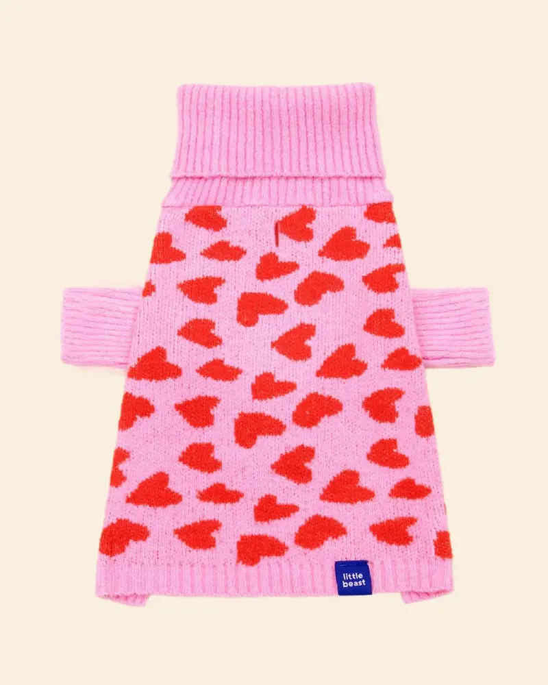 "The Love" Dog Sweater (Final Sale) 1