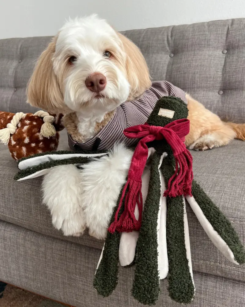 Tako Enrichment Holiday Dog Toy 1