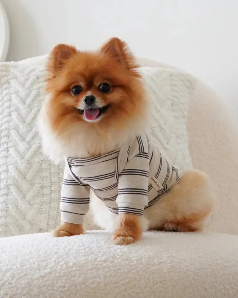 Chelsea Dog Tee In Earth (Final Sale) 1