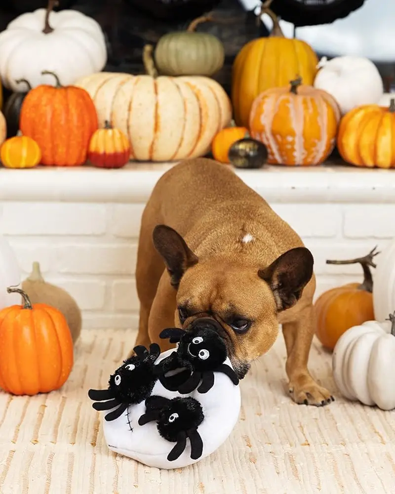 Skull + Spiders Hide-And-Seek Plush Dog Toy 1