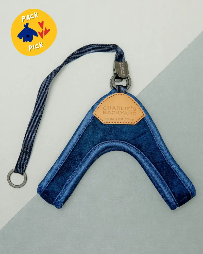 Adjustable Easy Dog Harness In Navy 1
