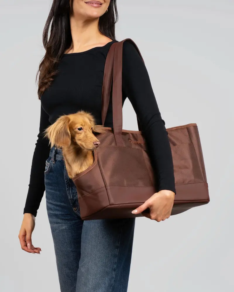 Open Or Enclosed Pet Tote Bag 1