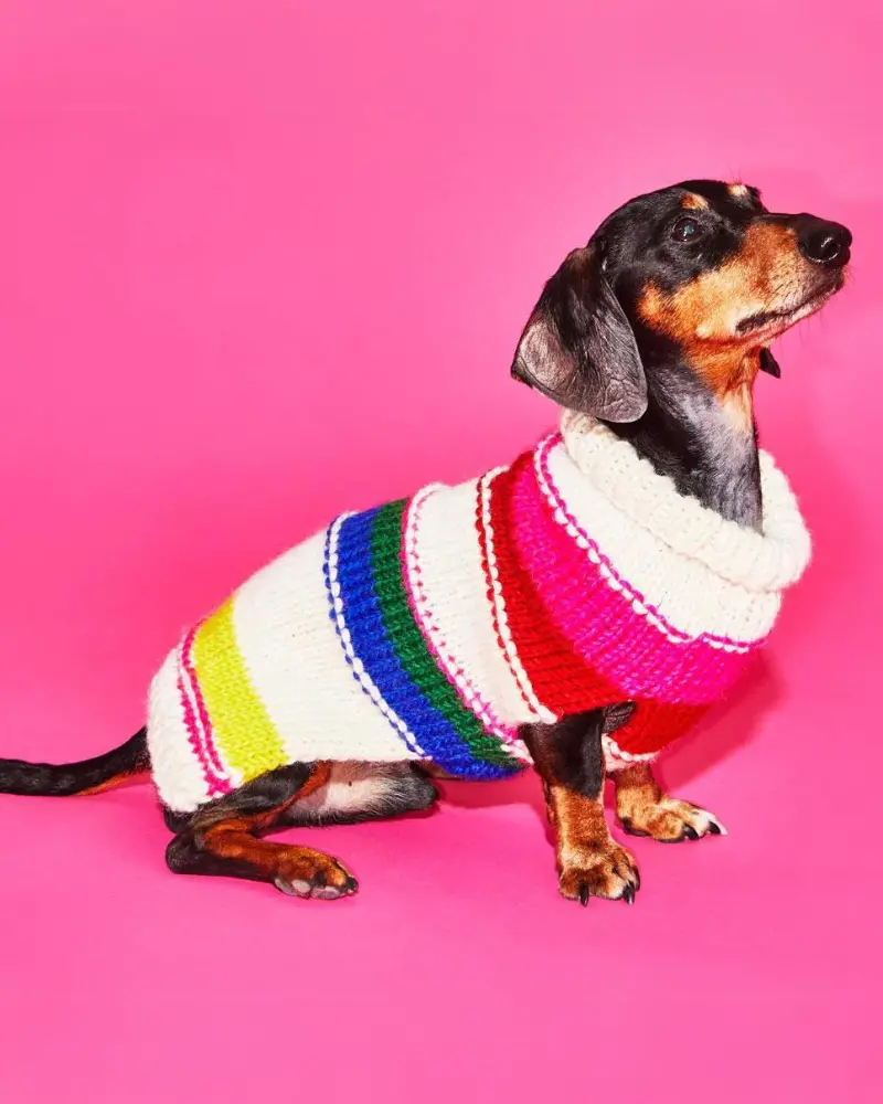 Neon Stripe Wool Dog Sweater (Final Sale) 1