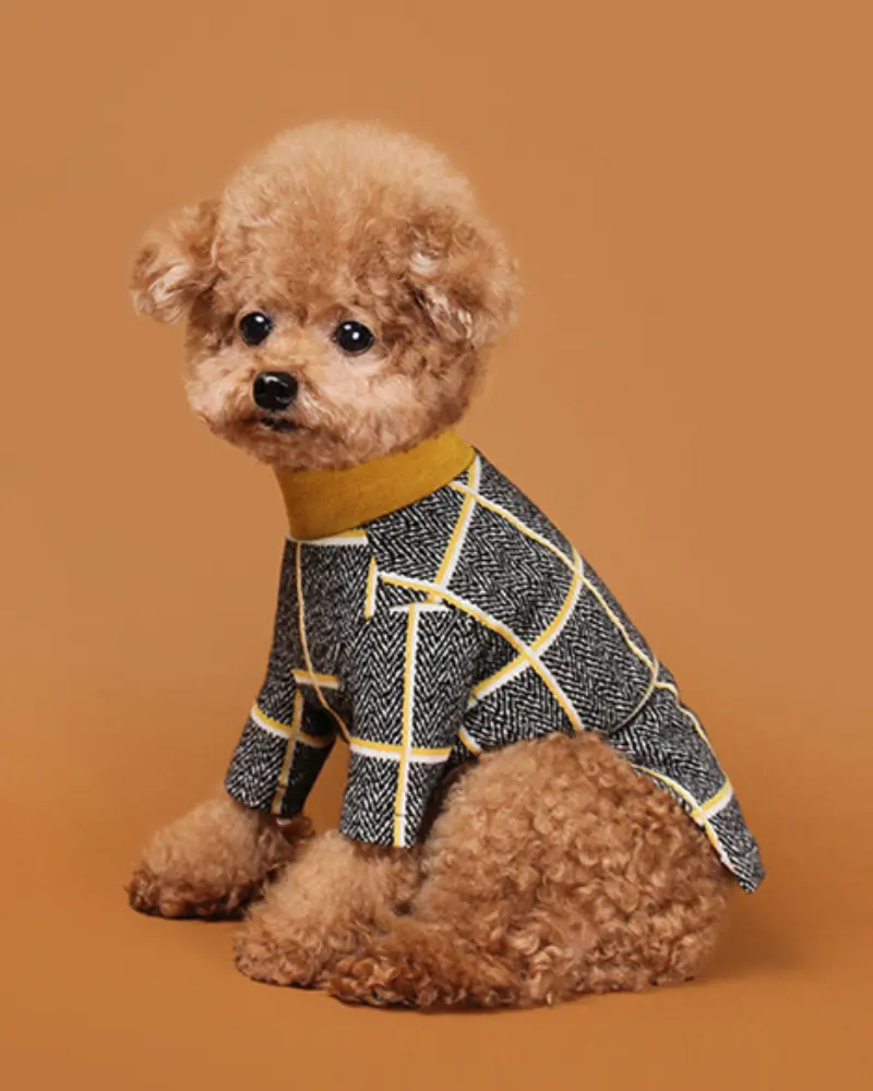 Check Tee For Dogs In Mustard Yellow (Final Sale) 1