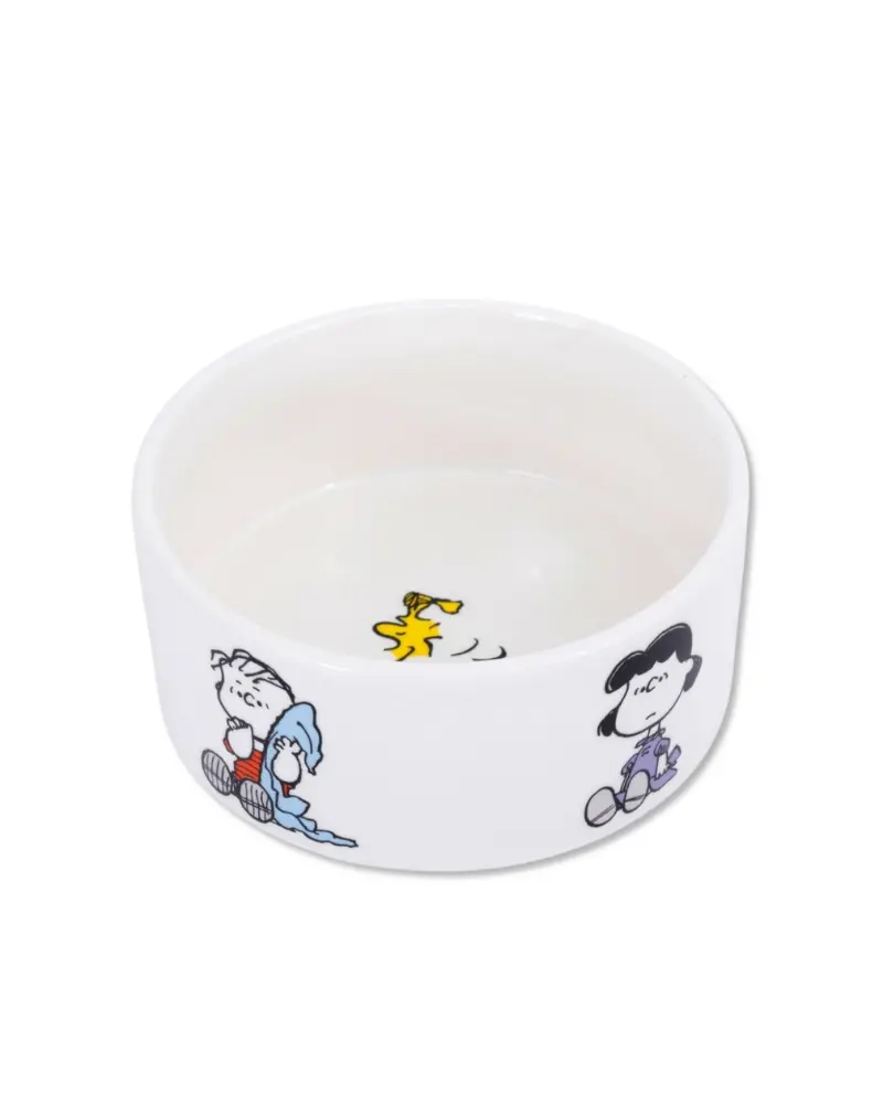 Peanuts Classic Dog Bowl 1