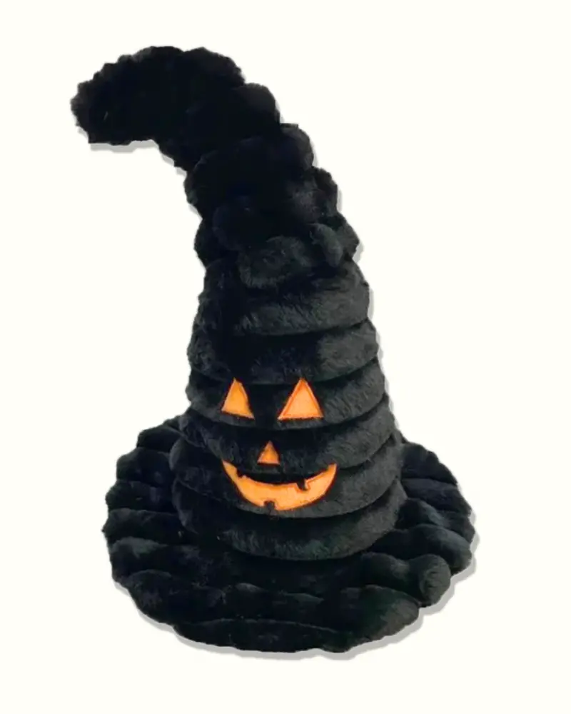Wendy Witch Hat Squeaky Plush Dog Toy 1