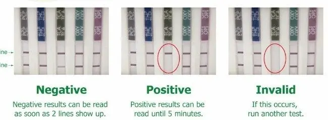 5 Panel Drug Test 1