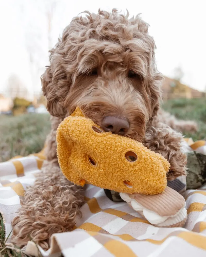 Fromage Enrichment Dog Toy 1