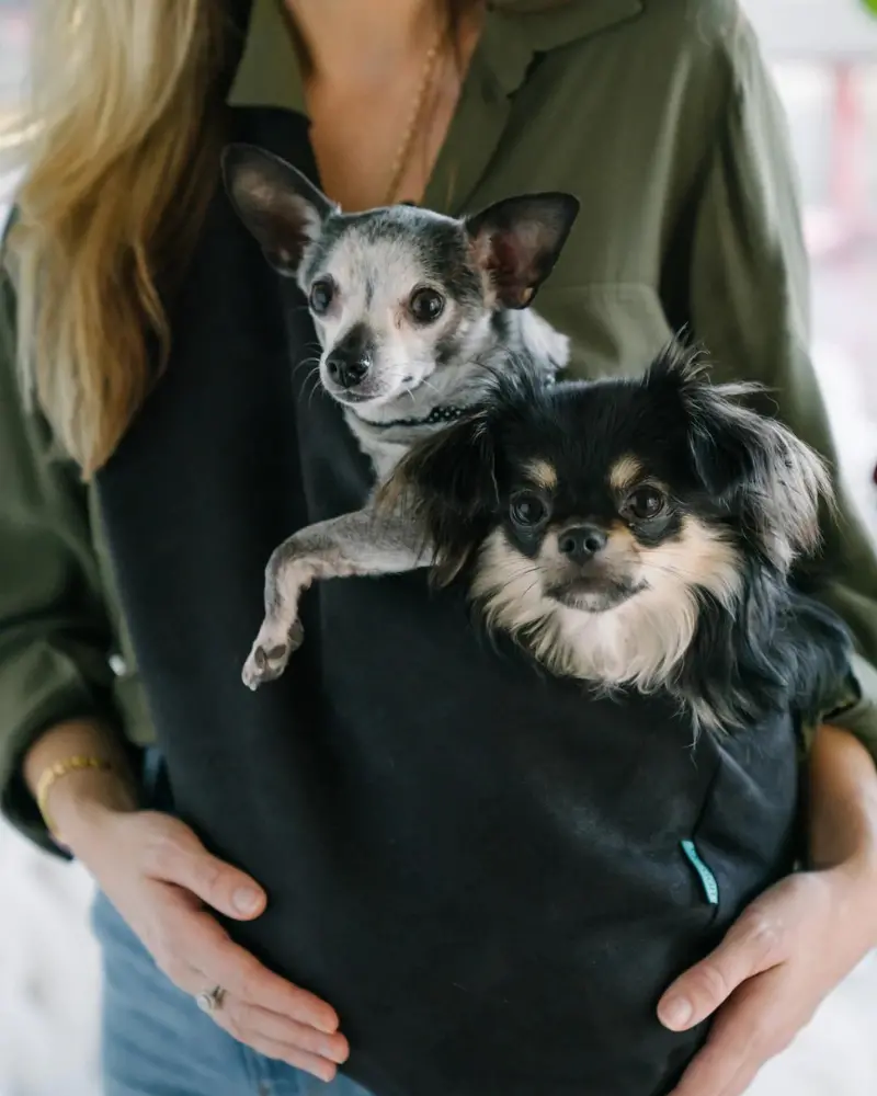 The Snuggit Plus+ Crossbody Dog Sling In Clairence Black 1