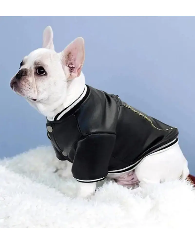 Very Varsity Faux Leather Dog Jacket With D-Ring (Final Sale) 1