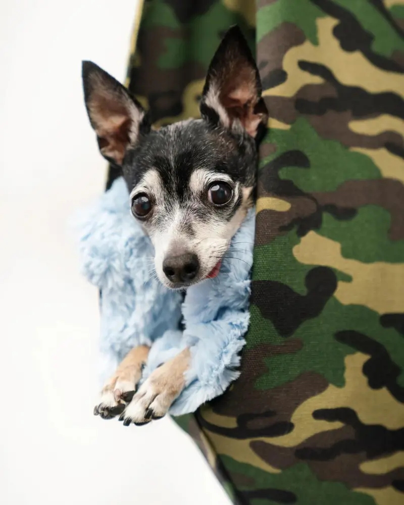 The Snuggit Crossbody Dog Sling In Chester Camo (Made In Canada) (Final Sale) 2