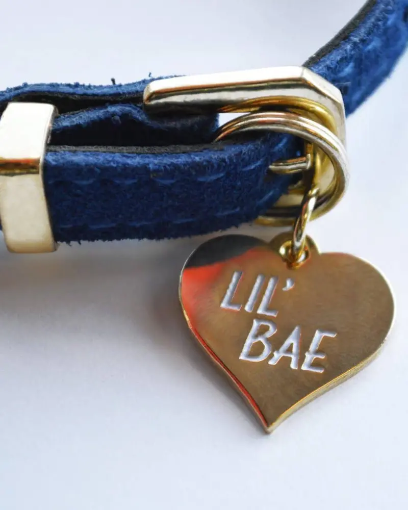 Lil' Bae Pet Tag 1
