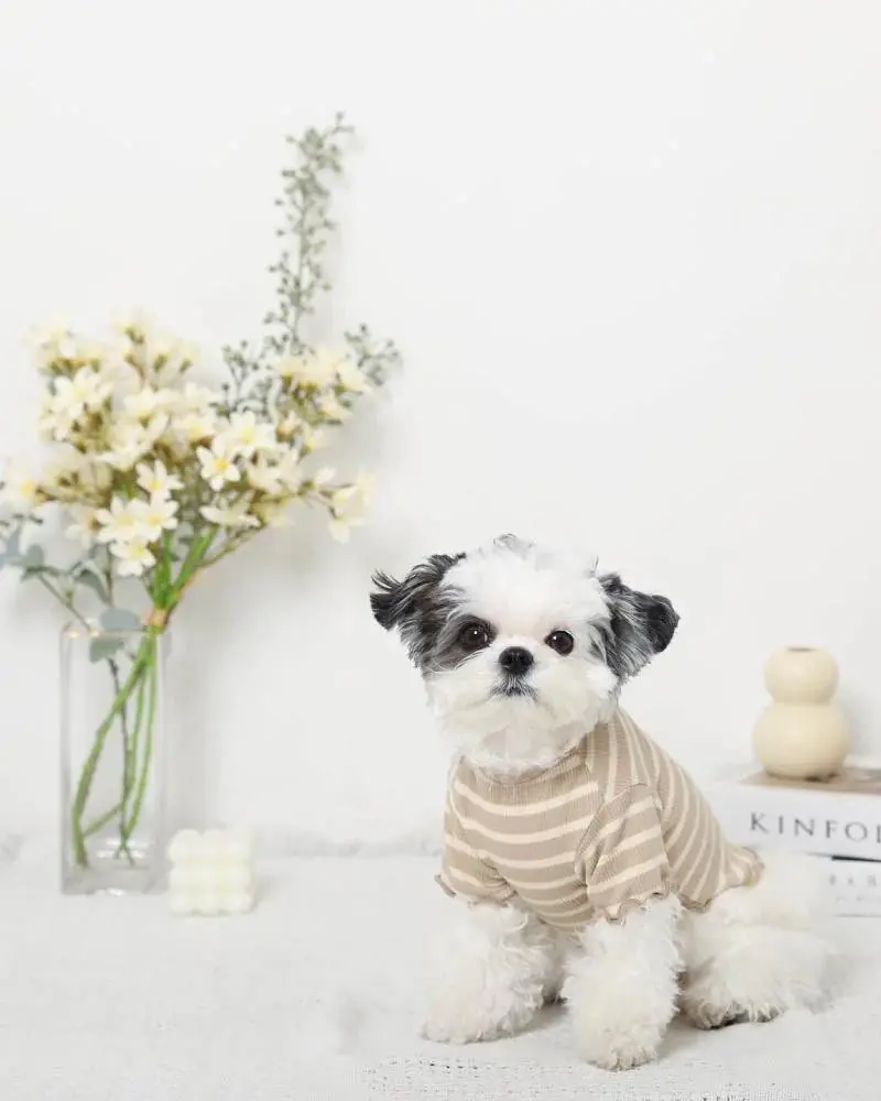 Ribbed Fruit Dog T-Shirts In Cherry Or Pineapple (Final Sale) 5