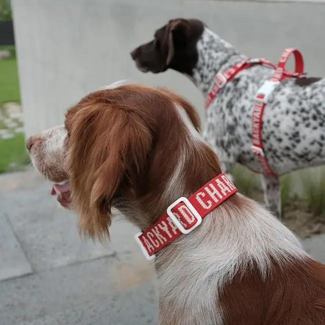Trip Dog Collar In Red (Clearance) 1