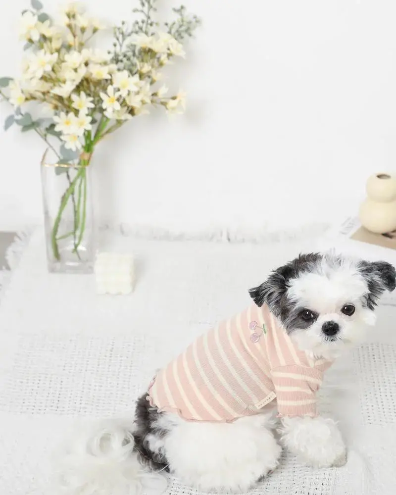 Ribbed Fruit Dog T-Shirts In Cherry Or Pineapple (Final Sale) 6