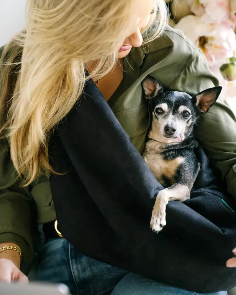 The Snuggit Crossbody Dog Sling In Clairence Black (Final Sale) 1