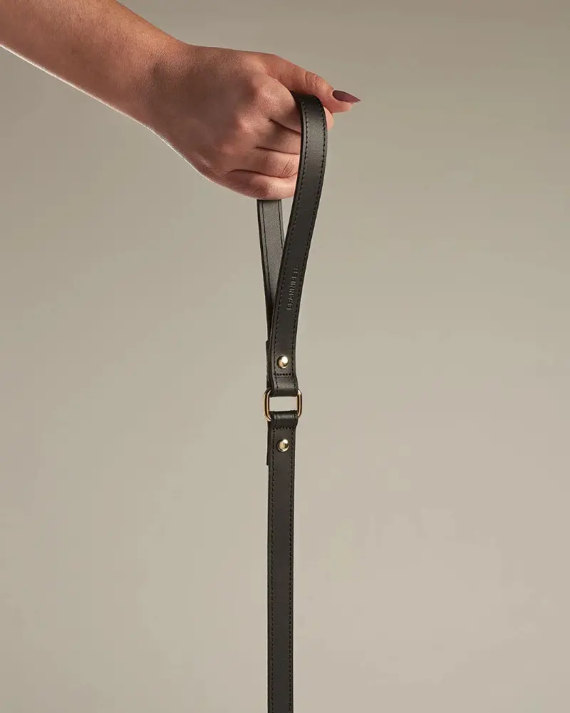 Black Nara Leather Dog Leash With Brass Hardware (Made In Italy) (Final Sale) 1